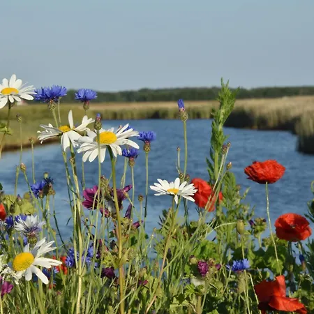 De Bunders Texel Casa de Férias