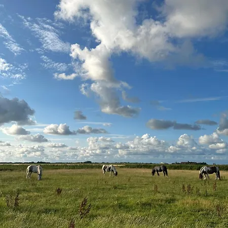 De Bunders Texel *