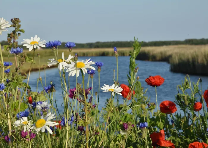 De Bunders Texel Дом отдыха